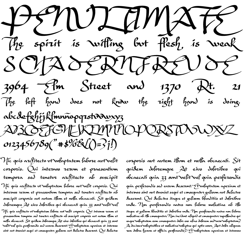 paleografa font demo
