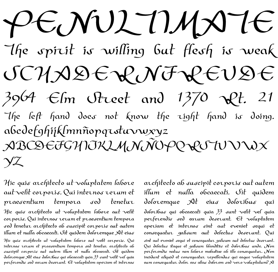 santquorum antigua font demo